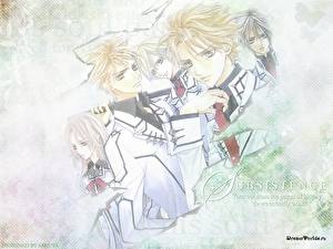 Picture Vampire Knight Anime