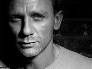 Picture Daniel Craig Celebrities