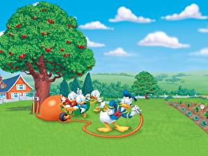 Bakgrundsbilder på skrivbordet Disney Ducktales Tecknat