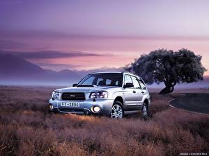 Фотографии Subaru машины