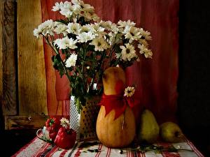 Bakgrundsbilder på skrivbordet Kamomiller Buketter blomma