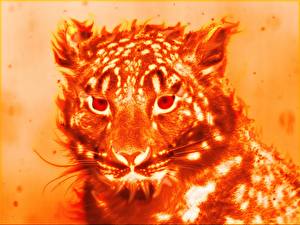 Tapety na pulpit Wielkie koty Rysowane Ogień zwierzę