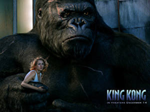 Bureaubladachtergronden King Kong (2005) Films