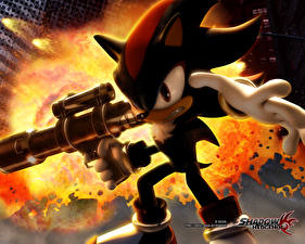 Photo Shadow the Hedgehog vdeo game