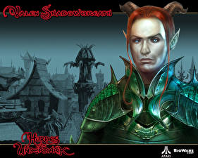 Picture Neverwinter Nights