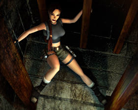 Bakgrundsbilder på skrivbordet Tomb Raider Tomb Raider The Angel of Darkness