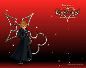 Bakgrundsbilder på skrivbordet Kingdom Hearts spel
