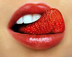 Hintergrundbilder Lippe Erdbeeren Zunge
