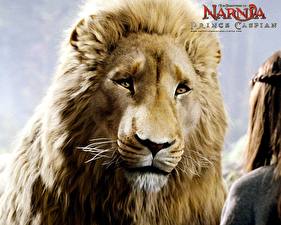 Bureaubladachtergronden De Kronieken van Narnia De Kronieken van Narnia: Prins Caspian Films