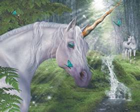 Image Magical animals Unicorns Fantasy