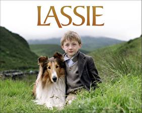 Bureaubladachtergronden Schotse herdershond Lassie Films