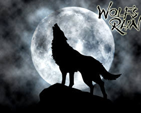 Fonds d'écran Wolf's Rain Loup Lune Silhouette Anime