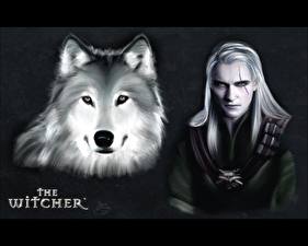 Tapety na pulpit The Witcher Geralt of Rivia Wilki