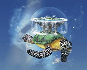 Bakgrundsbilder på skrivbordet Magiska djur Sköldpaddor Fantasy