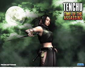 Bakgrundsbilder på skrivbordet Tenchu spel