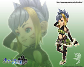 Bakgrundsbilder på skrivbordet Final Fantasy Final Fantasy: Crystal Chronicles