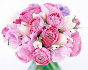 Images Peonies Bouquets flower