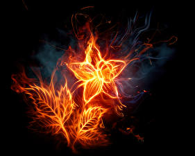 Picture Flame flower
