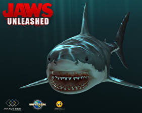 Images Jaws Unleashed