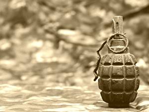 Pictures Closeup Grenade military