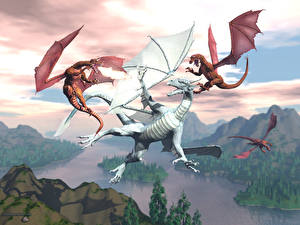 Pictures Dragon Three 3 Fantasy 3D_Graphics
