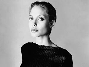 Sfondi desktop Angelina Jolie Celebrità Ragazze