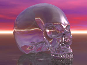 Fonds d'écran Crâne En gros plan 3D Graphiques