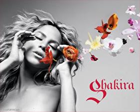 Papel de Parede Desktop Shakira Meninas Celebridade