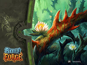 Bakgrunnsbilder BattleForge