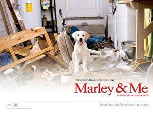 Wallpapers Marley &amp; Me