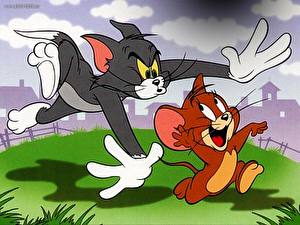 Bureaubladachtergronden Tom en Jerry
