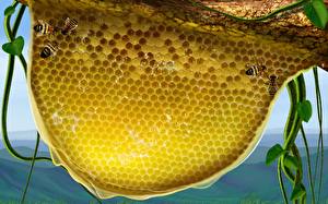Wallpaper Honeycomb animal