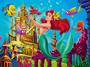 Pictures Disney The Little Mermaid Cartoons