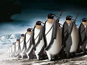 Papel de Parede Desktop Pinguins Balas engraçados