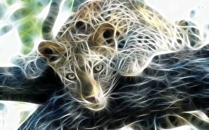 Fondos de escritorio Grandes felinos Leopardo Dibujado un animal