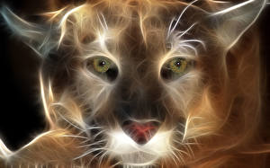 Pictures Big cats Pumas Painting Art Animals