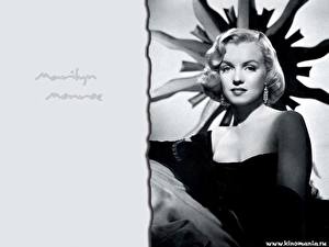 Fonds d'écran Marilyn Monroe Célébrités