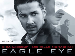 Bakgrundsbilder på skrivbordet Eagle Eye 2008