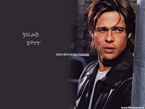 Bakgrundsbilder på skrivbordet Brad Pitt