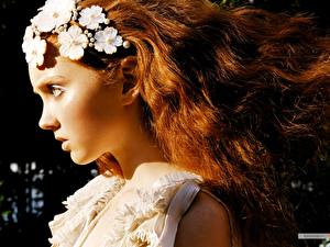 Wallpapers Lily Cole Celebrities