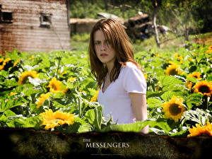 Images The Messengers