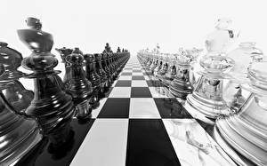 Hintergrundbilder Schach 3D-Grafik