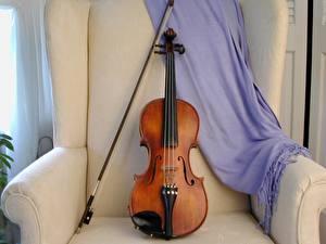 Fotos Musikinstrumente Violine