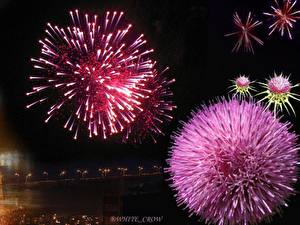 Bilder Feiertage Feuerwerk