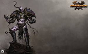 Hintergrundbilder Warhammer Online: Age of Reckoning