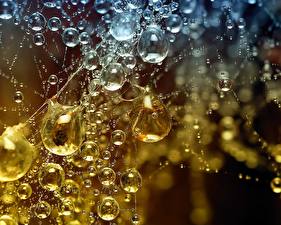 Photo Water Drops