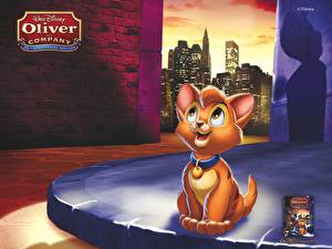 Wallpapers Oliver & Company Cartoons