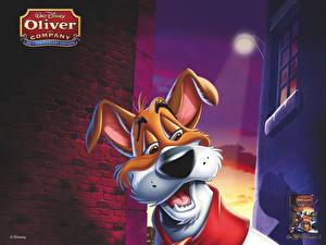 Papel de Parede Desktop Disney Oliver e seus Companheiros Cartoons
