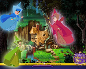 Fonds d'écran Disney La Belle au bois dormant Dessins_animés