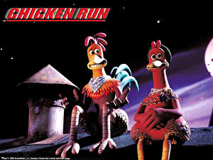 Fonds d'écran Chicken Run - Poulets en fuite